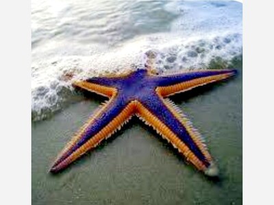 Santa Monica Evacuation Order