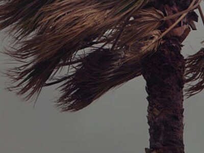 The Power of Wind Gust