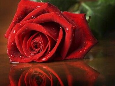 Better Sex after 50 and Older